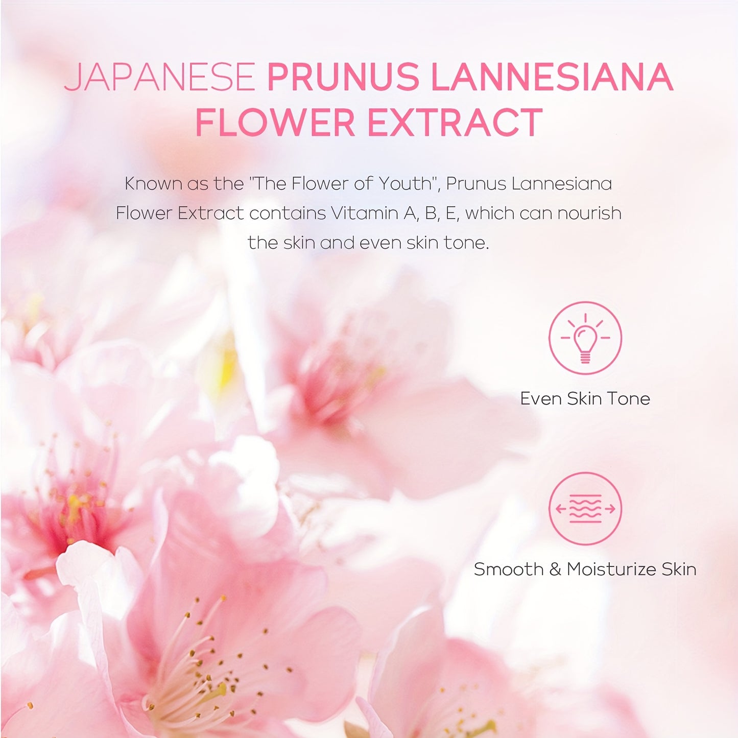 【7pcs Skin Care Set: Toner 5.41oz; Essence 1.01oz; Facial Cleanser 100g; Face Cream 50g; Eye Cream 30g; Hairband; Cleansing Sponge】LAIKOU JAPAN SAKURA SKINCARE SET With Hairband And Cleansing Sponge