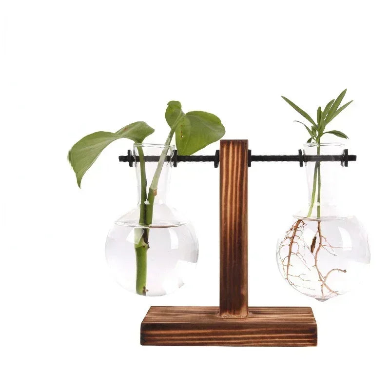 Plante hydroponique Terrarium Vasevase décoration maison bouteille en verre hydroponique décoration de bureau bureau plante verte petit pot