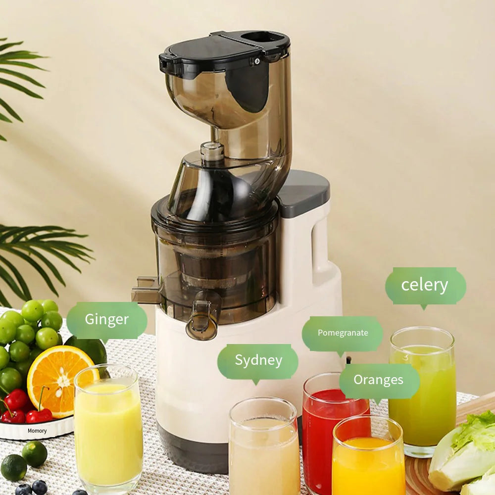 Mélangeur 500W pour mélangeurs de fruits de cuisine, presse-agrumes électrique Portable, filtre de séparation des résidus de jus, machine à jus d'orange