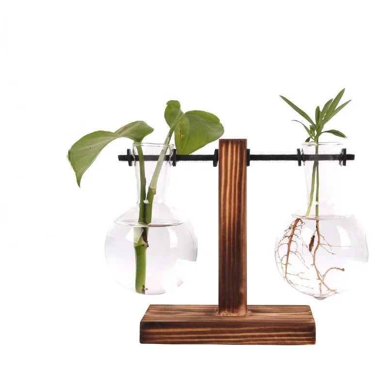 Plante hydroponique Terrarium Vasevase décoration maison bouteille en verre hydroponique décoration de bureau bureau plante verte petit pot