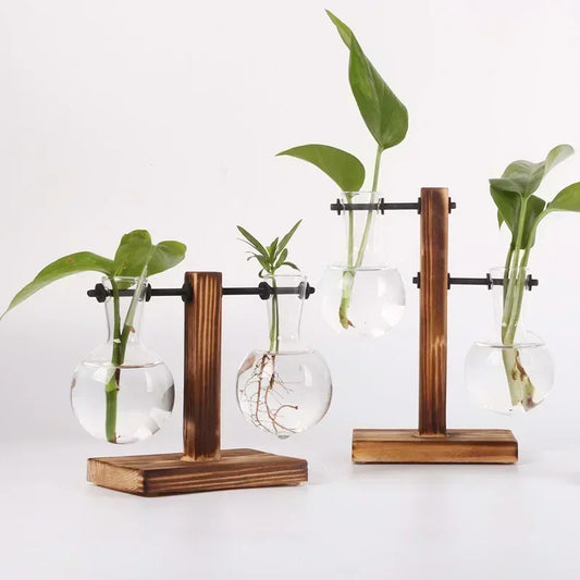Plante hydroponique Terrarium Vasevase décoration maison bouteille en verre hydroponique décoration de bureau bureau plante verte petit pot
