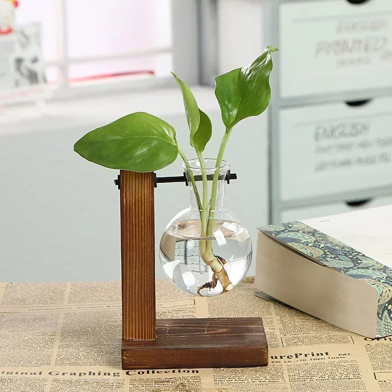 Plante hydroponique Terrarium Vasevase décoration maison bouteille en verre hydroponique décoration de bureau bureau plante verte petit pot