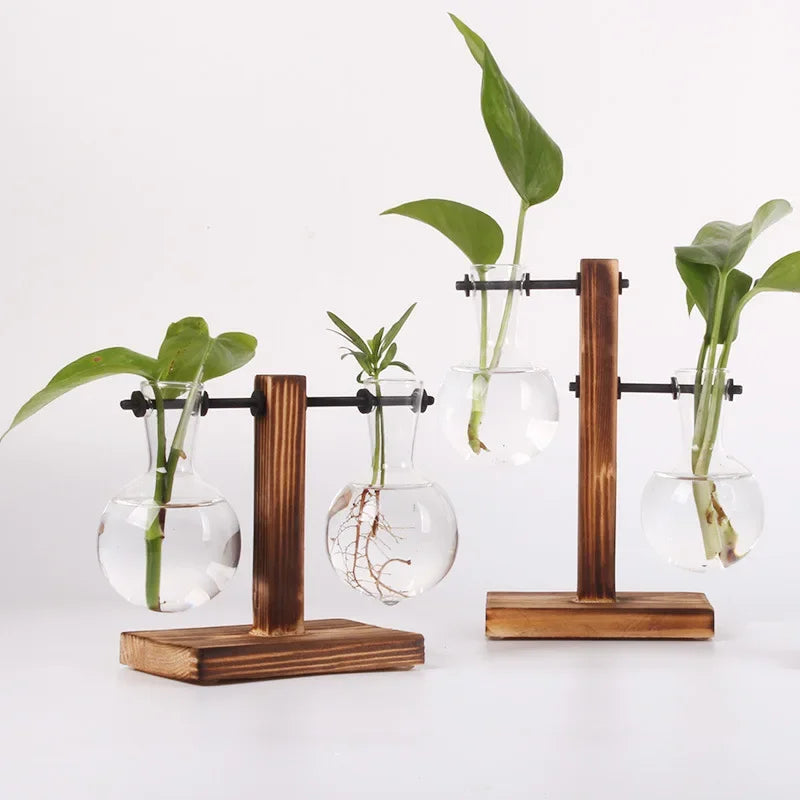 Plante hydroponique Terrarium Vasevase décoration maison bouteille en verre hydroponique décoration de bureau bureau plante verte petit pot