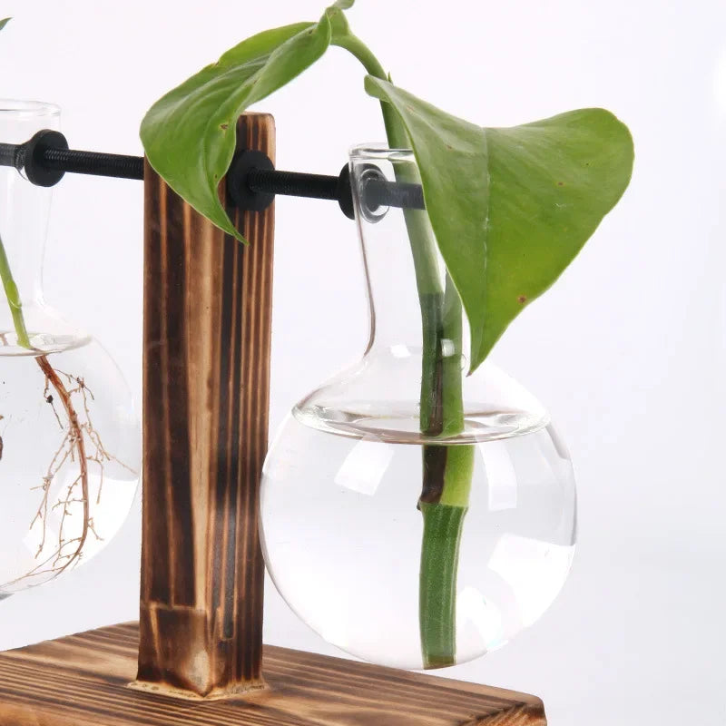 Plante hydroponique Terrarium Vasevase décoration maison bouteille en verre hydroponique décoration de bureau bureau plante verte petit pot