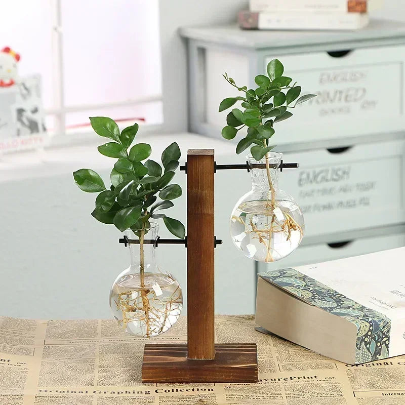 Plante hydroponique Terrarium Vasevase décoration maison bouteille en verre hydroponique décoration de bureau bureau plante verte petit pot