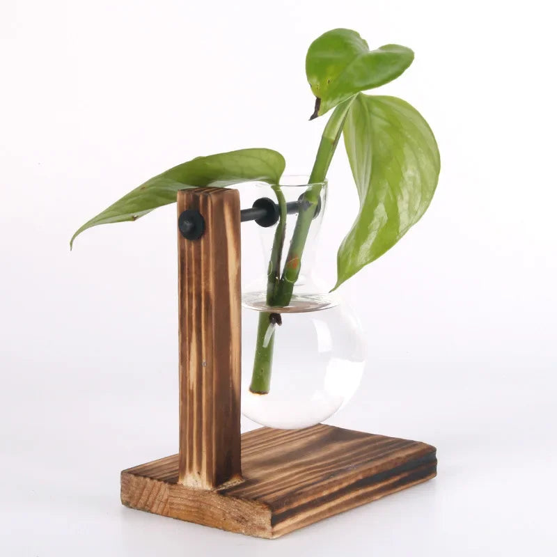 Plante hydroponique Terrarium Vasevase décoration maison bouteille en verre hydroponique décoration de bureau bureau plante verte petit pot