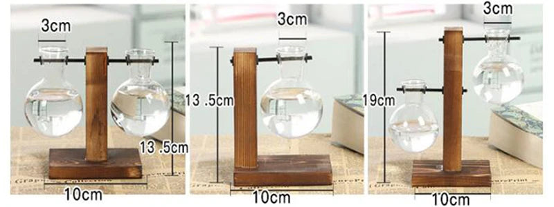 Plante hydroponique Terrarium Vasevase décoration maison bouteille en verre hydroponique décoration de bureau bureau plante verte petit pot