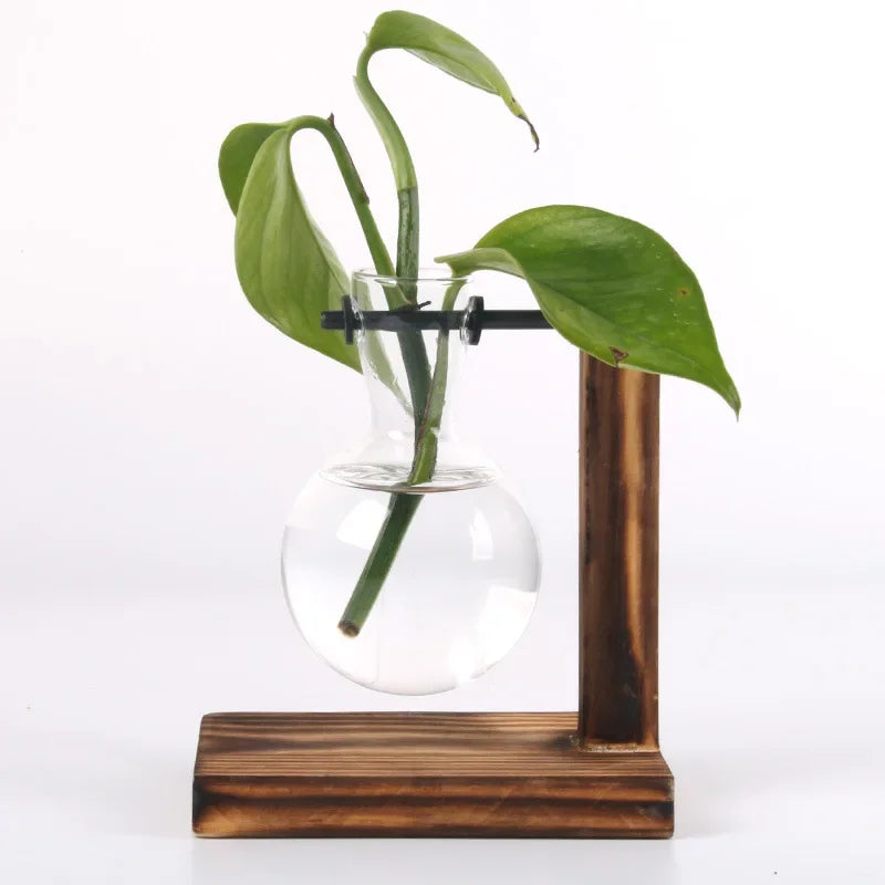 Plante hydroponique Terrarium Vasevase décoration maison bouteille en verre hydroponique décoration de bureau bureau plante verte petit pot