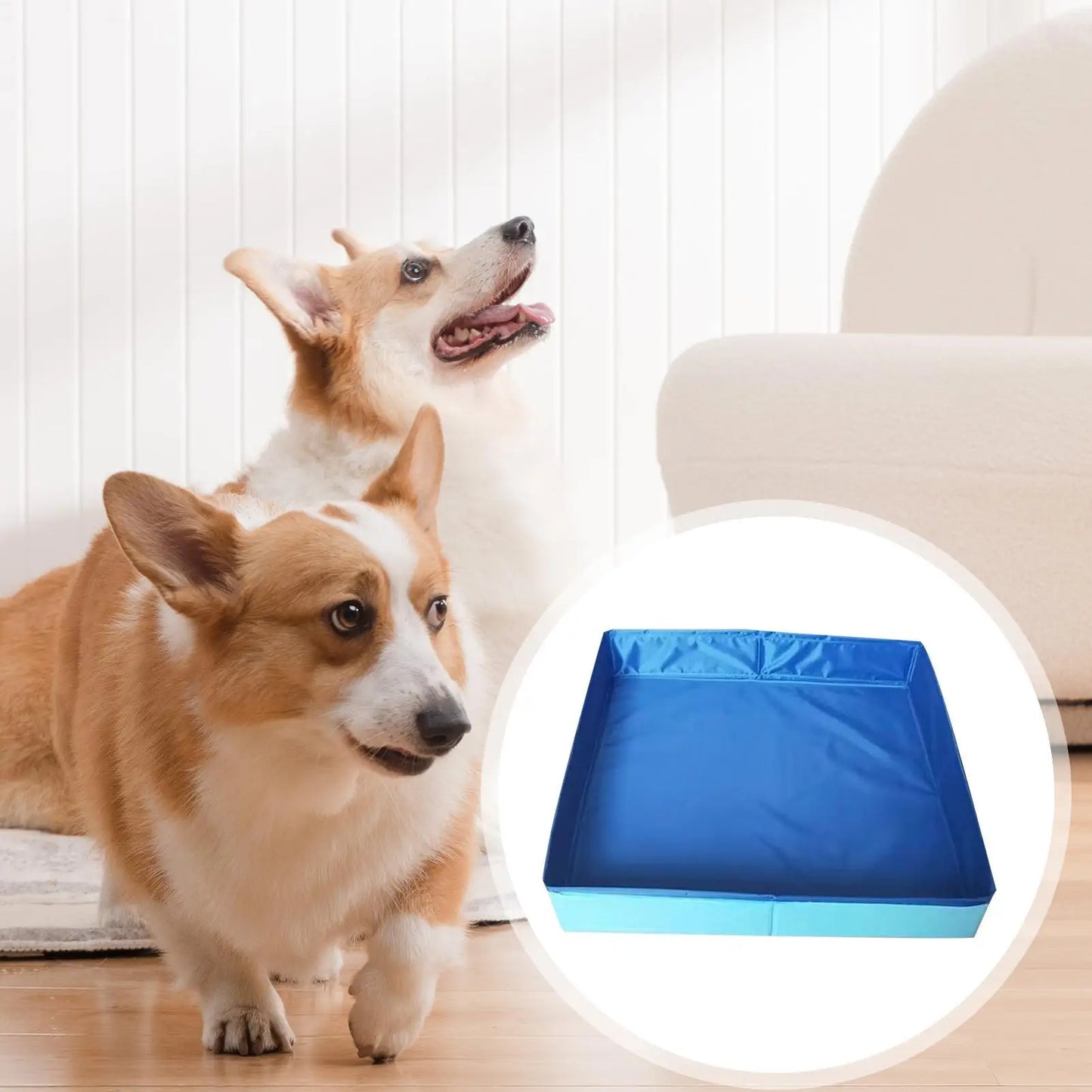 Piscine de bain pliable en PVC pour animaux de compagnie, pataugeoire pour chien, antidérapante, Non gonflable, pour chiots de compagnie, chats, autres animaux