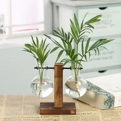 Plante hydroponique Terrarium Vasevase décoration maison bouteille en verre hydroponique décoration de bureau bureau plante verte petit pot