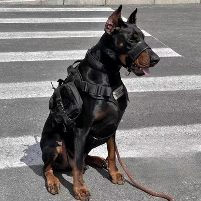 Muselière pour chien Anti-morsure et Anti-aboiement chien en plein air marche Anti-léchage et manger bouche couverture Husky petits chiens moyens et grands chiens