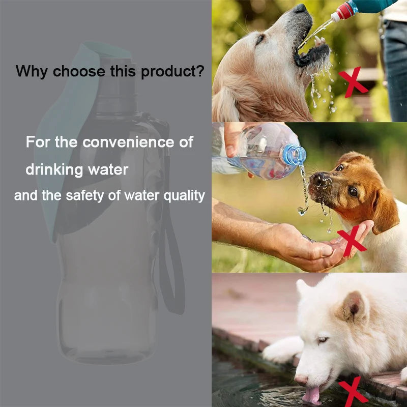 Portable Chien Bouteille D'eau Pour Les Petits Grands Chiens En Plein Air Marche Chiot Potable Bol Chat Buveur Labrodor Yorkshire Fournitures Pour Animaux De Compagnie