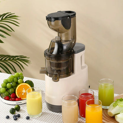 Mélangeur 500W pour mélangeurs de fruits de cuisine, presse-agrumes électrique Portable, filtre de séparation des résidus de jus, machine à jus d'orange