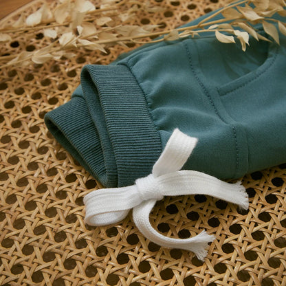 Survêtement d'hiver 2 pièces pour bébé, tenues pour garçons en bas âge, couleur contrastée, sweat-shirt à manches longues, hauts et pantalons longs, ensemble de vêtements pour tout-petits