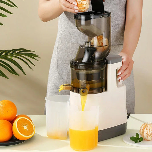 Mélangeur 500W pour mélangeurs de fruits de cuisine, presse-agrumes électrique Portable, filtre de séparation des résidus de jus, machine à jus d'orange