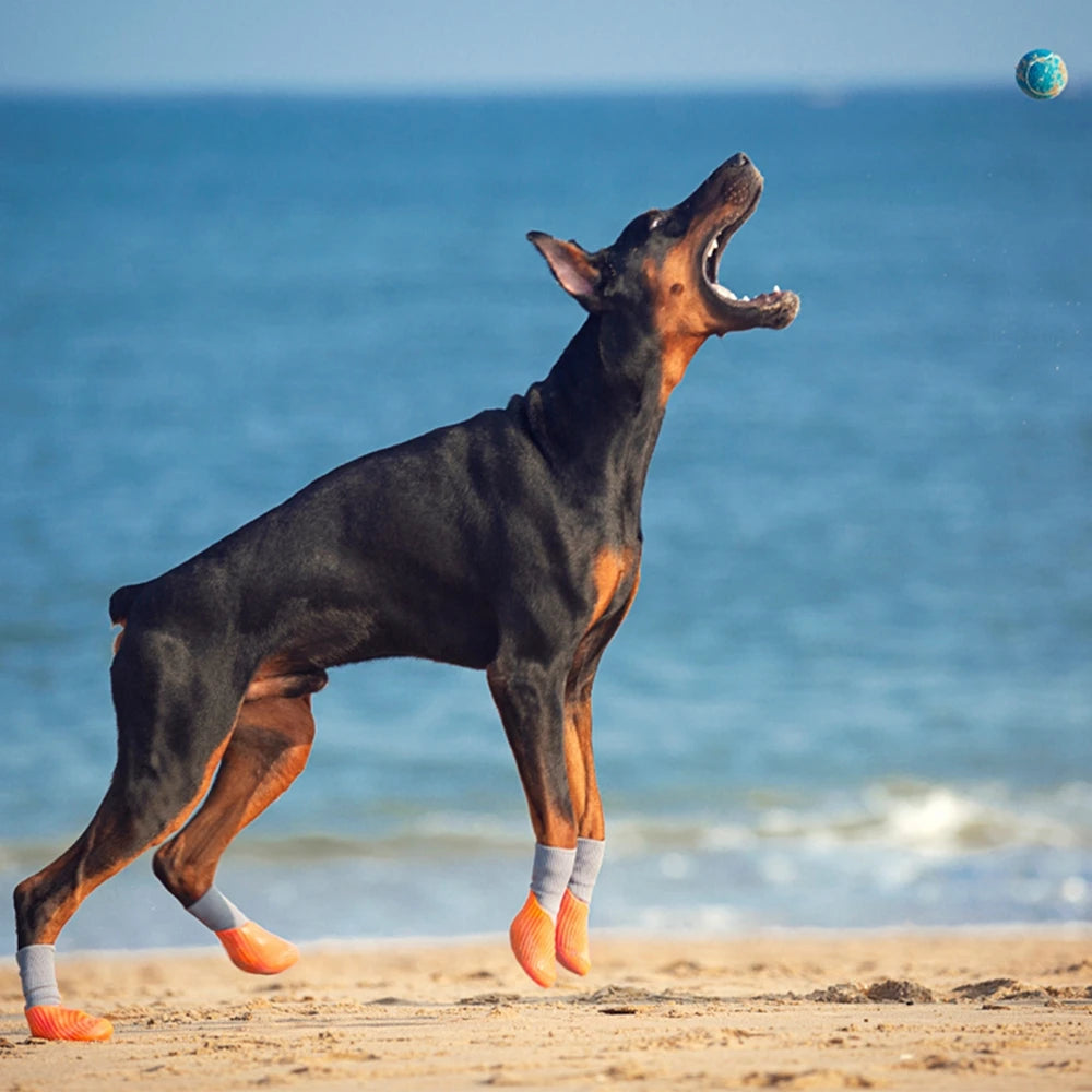 Lot de 4 bottines d'extérieur imperméables pour chien et chat,chaussures anti-tâches et antidérapantes en caoutchouc avec chaussettes, protégeant les coussinets, pour petit et grand chien