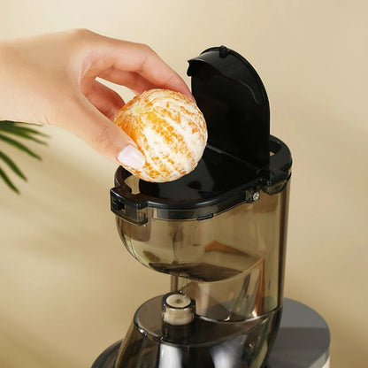 Mélangeur 500W pour mélangeurs de fruits de cuisine, presse-agrumes électrique Portable, filtre de séparation des résidus de jus, machine à jus d'orange