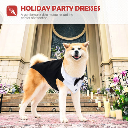 Costume de smoking pour chien, chemise à nœud papillon de mariage pour chien Prince, tenue de mariage formelle pour chiens de grande et moyenne taille, Golden Retriever Samo