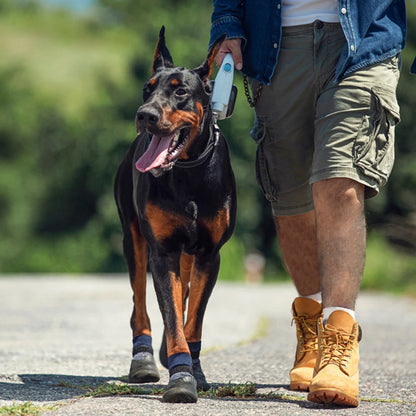 Lot de 4 bottines d'extérieur imperméables pour chien et chat,chaussures anti-tâches et antidérapantes en caoutchouc avec chaussettes, protégeant les coussinets, pour petit et grand chien