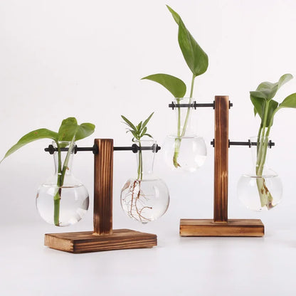 Plante hydroponique Terrarium Vasevase décoration maison bouteille en verre hydroponique décoration de bureau bureau plante verte petit pot
