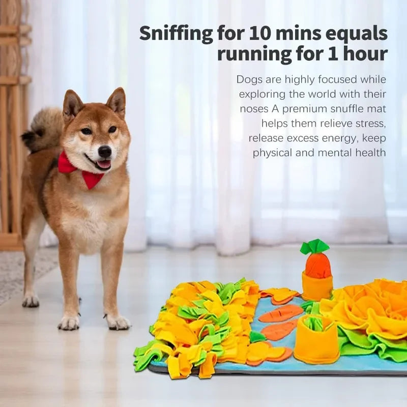 Grand tapis à renifler pour chiens, entraînement interactif pour animaux de compagnie et soulagement du Stress, tapis d'alimentation à renifler, mangeoire lente, tapis de friandises pour chiens, jouets pour chiens