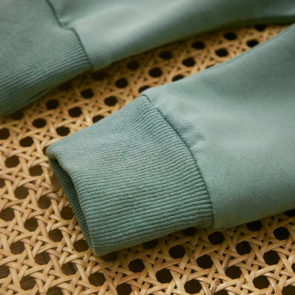Survêtement d'hiver 2 pièces pour bébé, tenues pour garçons en bas âge, couleur contrastée, sweat-shirt à manches longues, hauts et pantalons longs, ensemble de vêtements pour tout-petits