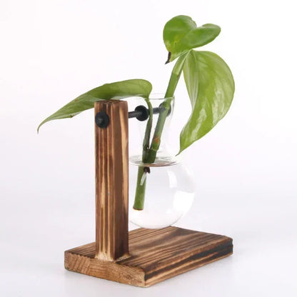 Plante hydroponique Terrarium Vasevase décoration maison bouteille en verre hydroponique décoration de bureau bureau plante verte petit pot