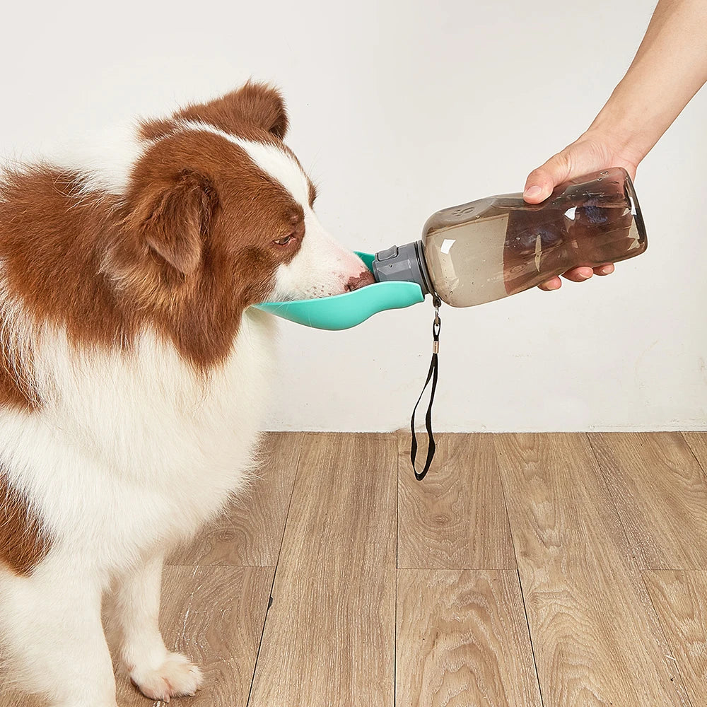 Portable Chien Bouteille D'eau Pour Les Petits Grands Chiens En Plein Air Marche Chiot Potable Bol Chat Buveur Labrodor Yorkshire Fournitures Pour Animaux De Compagnie