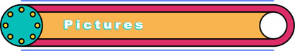 Jeu intellectuel en bois à pensée logique, Puzzle, véhicule Animal, dessin animé, jouets éducatifs précoces pour enfants, cadeau