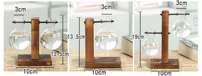 Plante hydroponique Terrarium Vasevase décoration maison bouteille en verre hydroponique décoration de bureau bureau plante verte petit pot