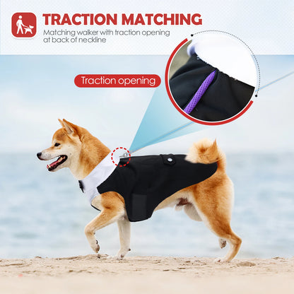 Costume de smoking pour chien, chemise à nœud papillon de mariage pour chien Prince, tenue de mariage formelle pour chiens de grande et moyenne taille, Golden Retriever Samo