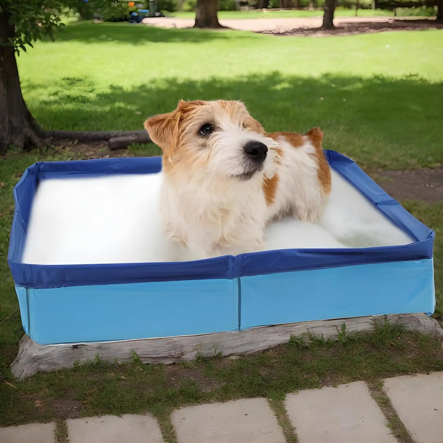 Piscine de bain pliable en PVC pour animaux de compagnie, pataugeoire pour chien, antidérapante, Non gonflable, pour chiots de compagnie, chats, autres animaux