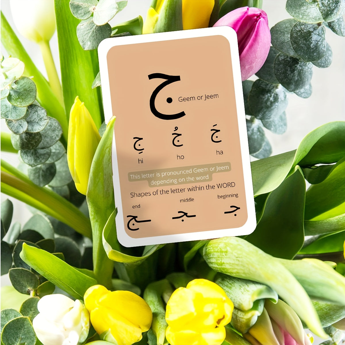 28 Arabic Alphabet Pronunciation Cards - for Arabic Language Beginners, Islamic Education Learning Flashcards for Arabic Letter Recognition, Writing And Reading Learning Aid, Unique Religious Gift